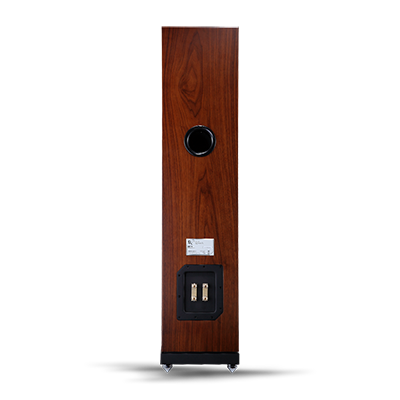 ARSP80TWN - 80-T Floorstanding